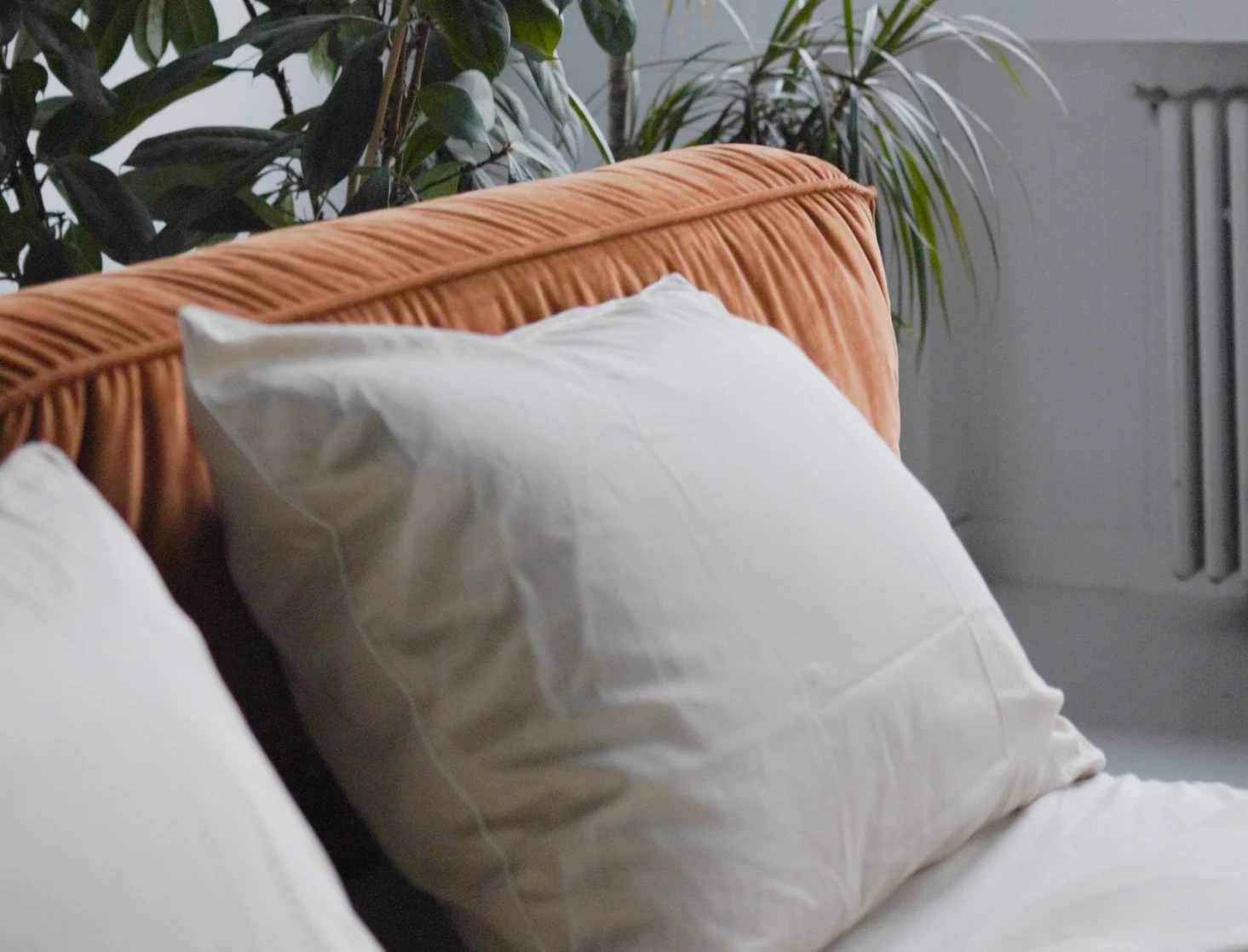 Detail of a white pillow resting against the burnt-orange velvet headboard with a plant behind
