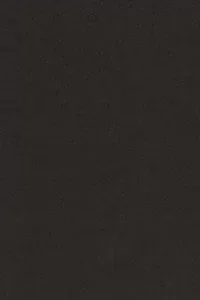 Matt Velvet 29 fabric swatch