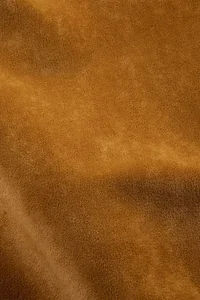 Amber 400 fabric swatch