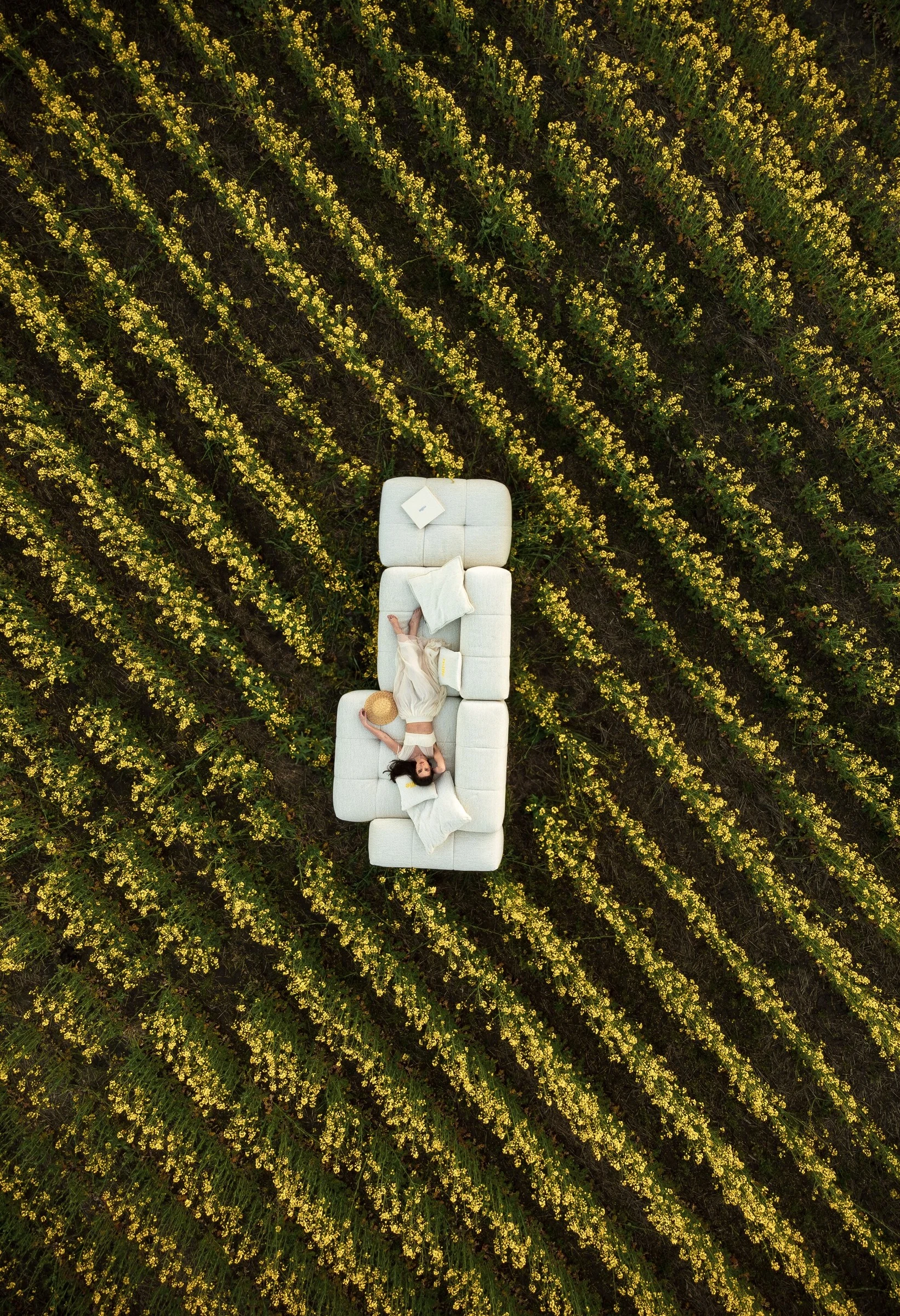 Aerial drone view of the cream Nami modular sofa in a yellow canola field with planting rows visible