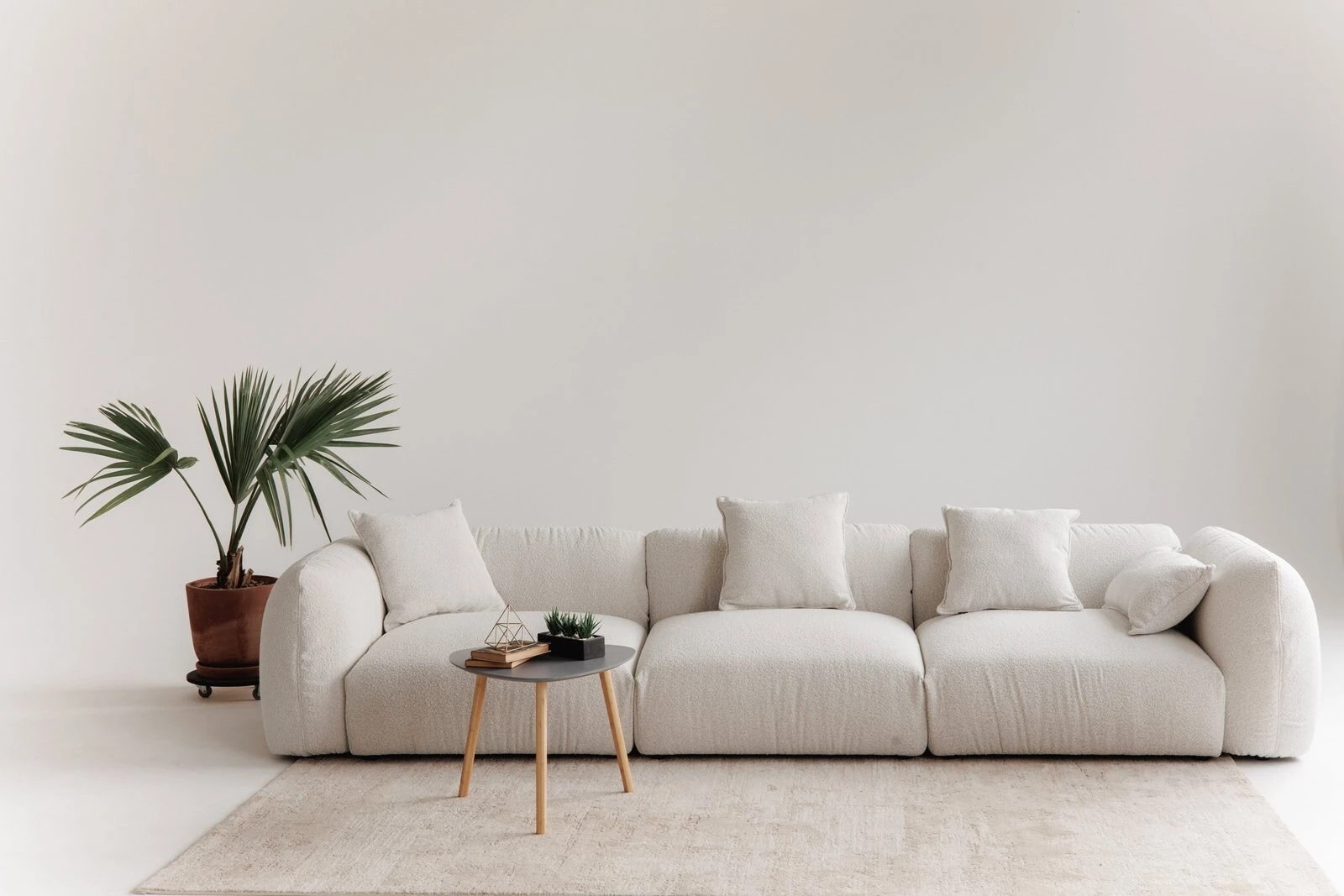 Cream boucle Tesa wide in a white studio with a fan palm