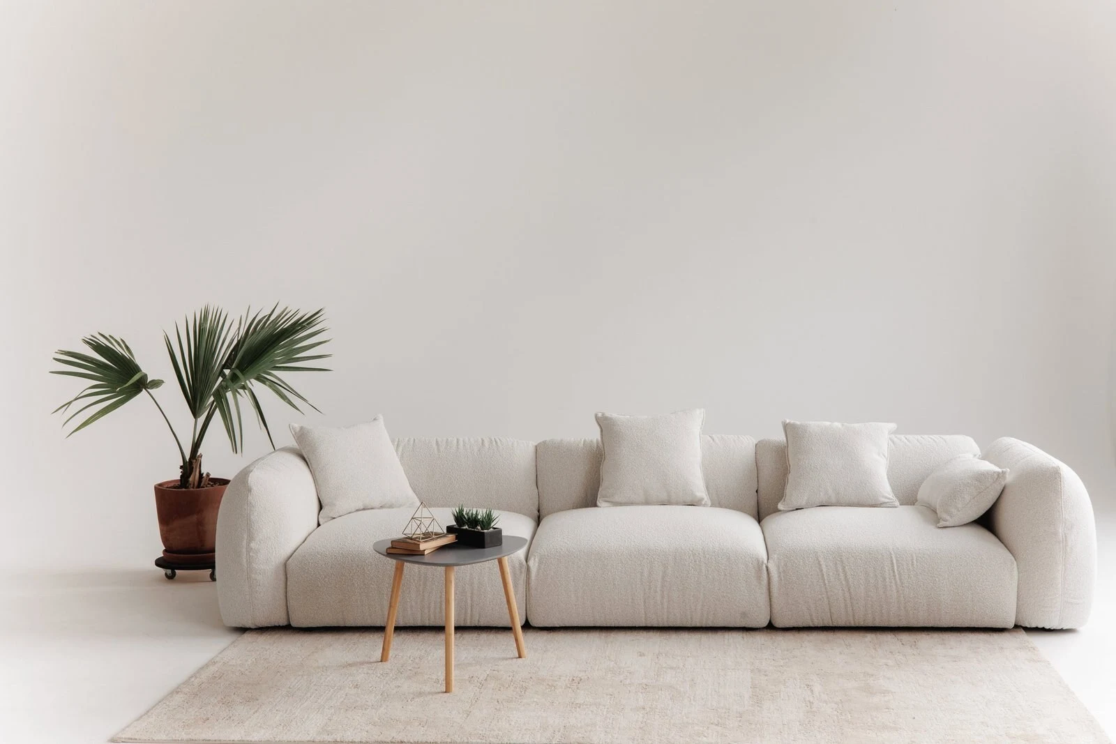 Cream boucle Tesa wide in a white studio with a fan palm